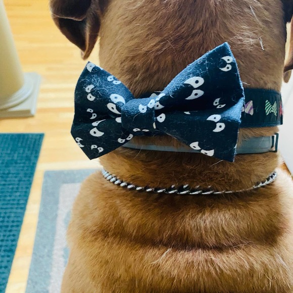 Halloween Dog Bow Ties Velcro - Picture 4 of 5
